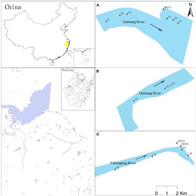 Antidepressants as emerging contaminants: Occurrence in wastewater treatment plants and surface waters in Hangzhou, China